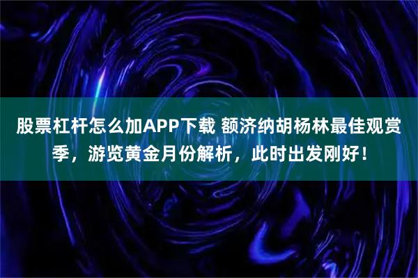 股票杠杆怎么加APP下载 额济纳胡杨林最佳观赏季，游览黄金月份解析，此时出发刚好！
