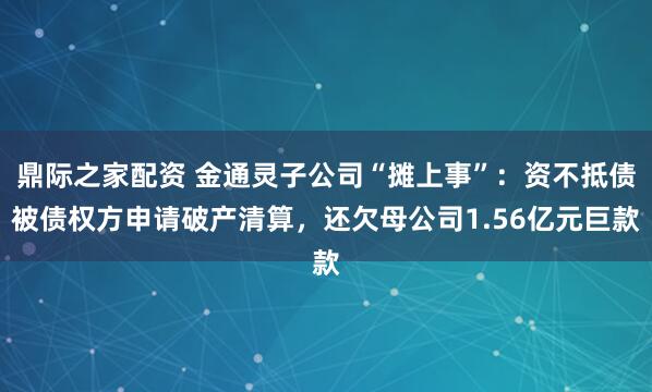 鼎际之家配资 金通灵子公司“摊上事”：资不抵债被债权方申请破产清算，还欠母公司1.56亿元巨款