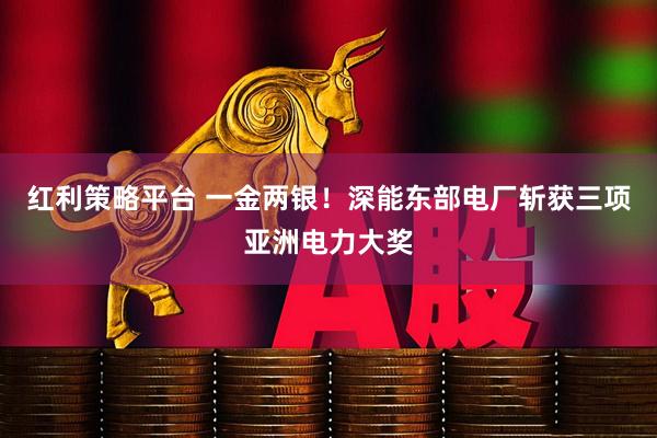 红利策略平台 一金两银！深能东部电厂斩获三项亚洲电力大奖